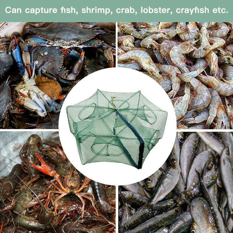 🦐🦀Automatic Foldable Fish Catcher – The Smart Trap for Bigger Catches! 🎣✨