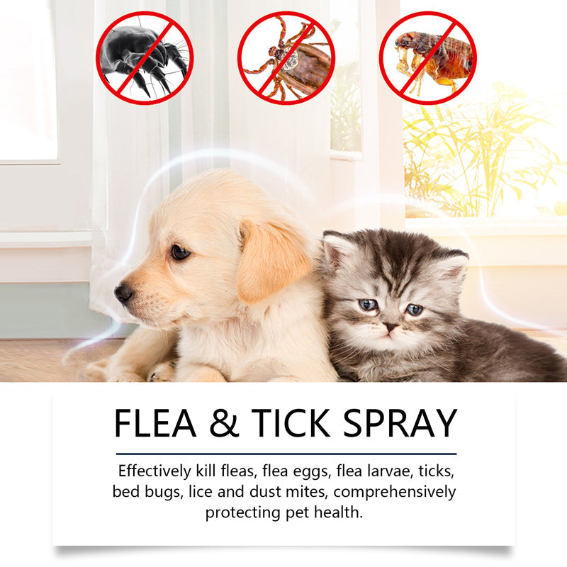 🥳2026 HOT SALE🥳💞50K+ SOLD!🍃🐾 50% OFF! Natural Flea & Tick Spray – Peppermint & tea tree oil, safe for cats & dogs. Soothes itchy skin, no harsh chemicals. Just spray & go. A gentle pest solution. 🌿✨
