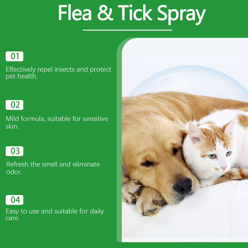 🥳2026 HOT SALE🥳💞50K+ SOLD!🍃🐾 50% OFF! Natural Flea & Tick Spray – Peppermint & tea tree oil, safe for cats & dogs. Soothes itchy skin, no harsh chemicals. Just spray & go. A gentle pest solution. 🌿✨