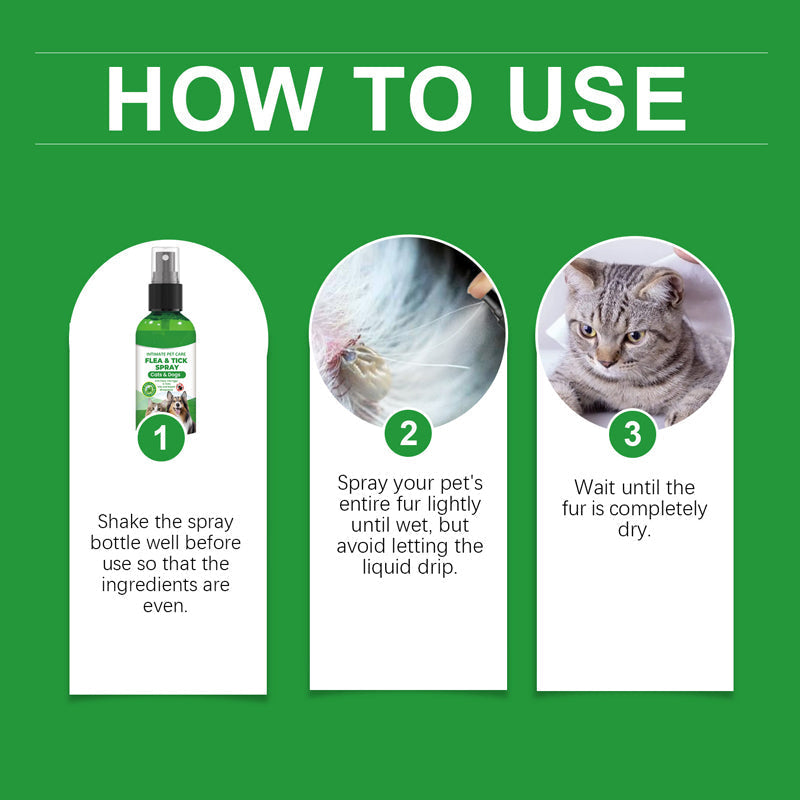 🥳2026 HOT SALE🥳💞50K+ SOLD!🍃🐾 50% OFF! Natural Flea & Tick Spray – Peppermint & tea tree oil, safe for cats & dogs. Soothes itchy skin, no harsh chemicals. Just spray & go. A gentle pest solution. 🌿✨
